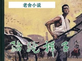 打扑克的视频免费看